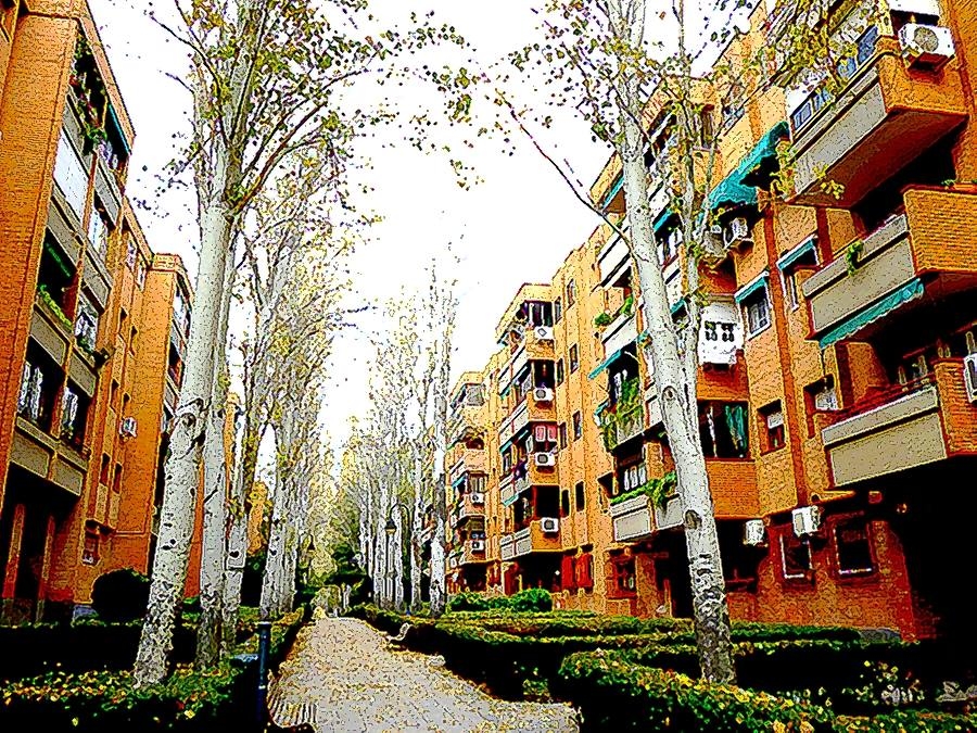 reformas en San Fernando de Henares pisos